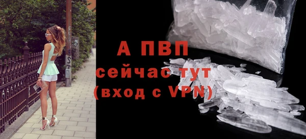меф Арсеньев
