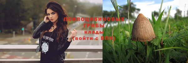 гидропоника Армянск