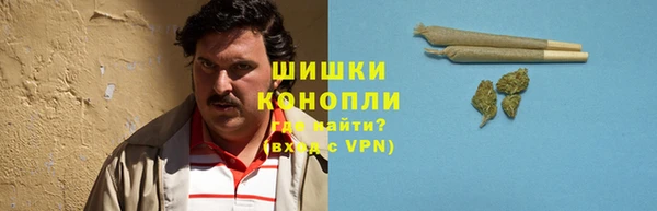меф Арсеньев