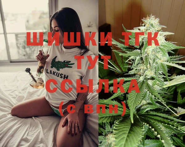 меф Арсеньев