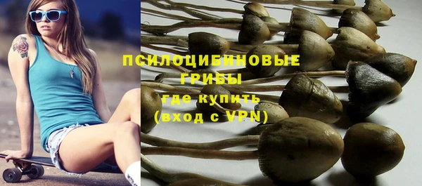гидропоника Армянск